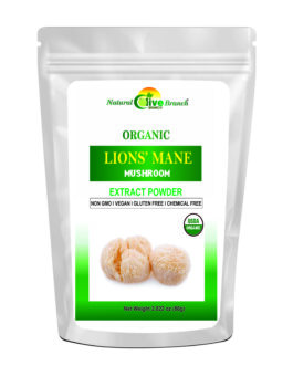 LION’S MANE MUSHROOM EXTRACT POWDER – ORGANIC