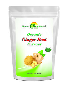 GINGER ROOT EXTRACT POWDER – ORGANIC