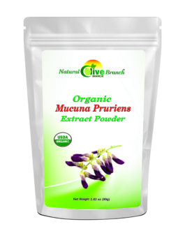 MUCUNA PRURIENS EXTRACT POWDER